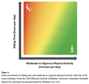 estudios de Katzmarzyk