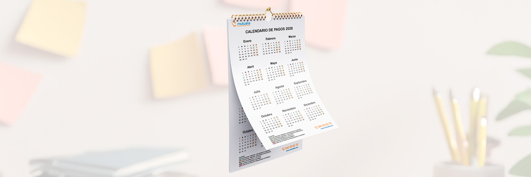 calendario abono 2026 web