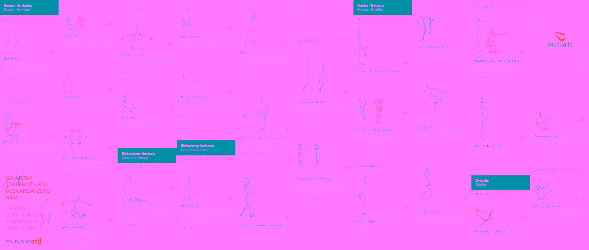 taller de descarga muscular 2