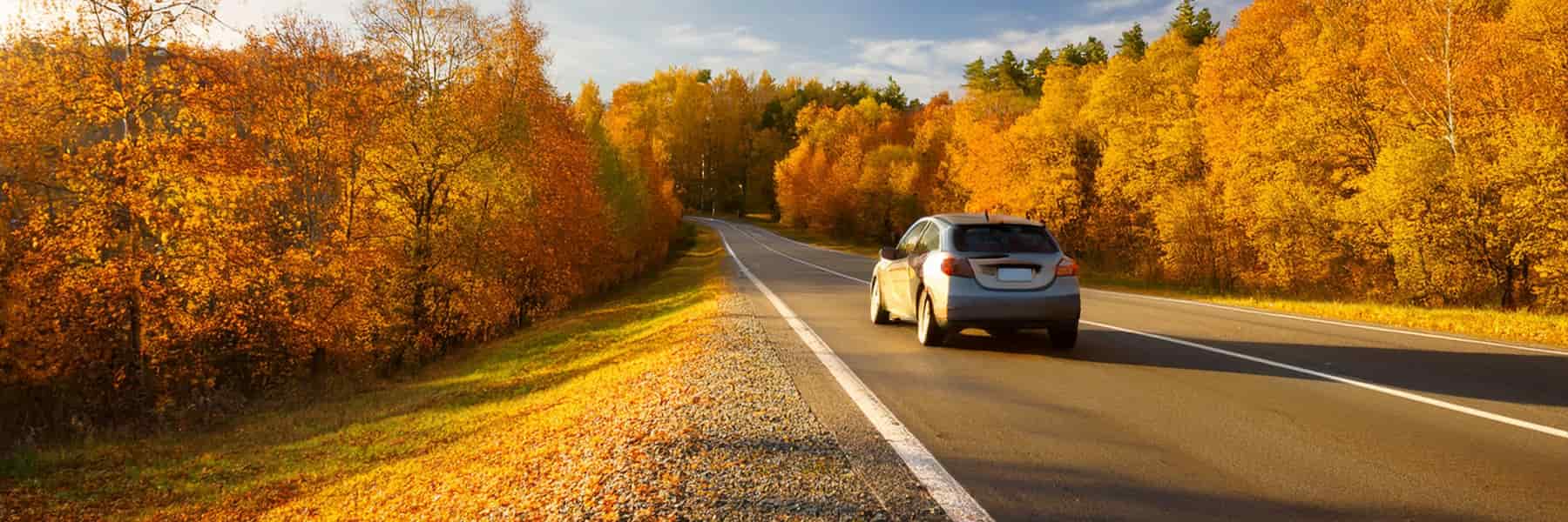 conducir en otoño