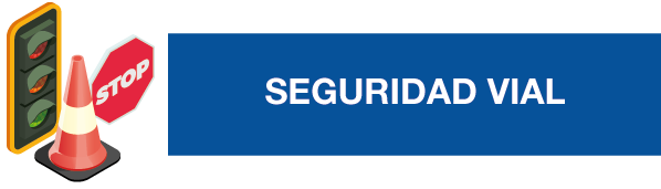 seguridad vial