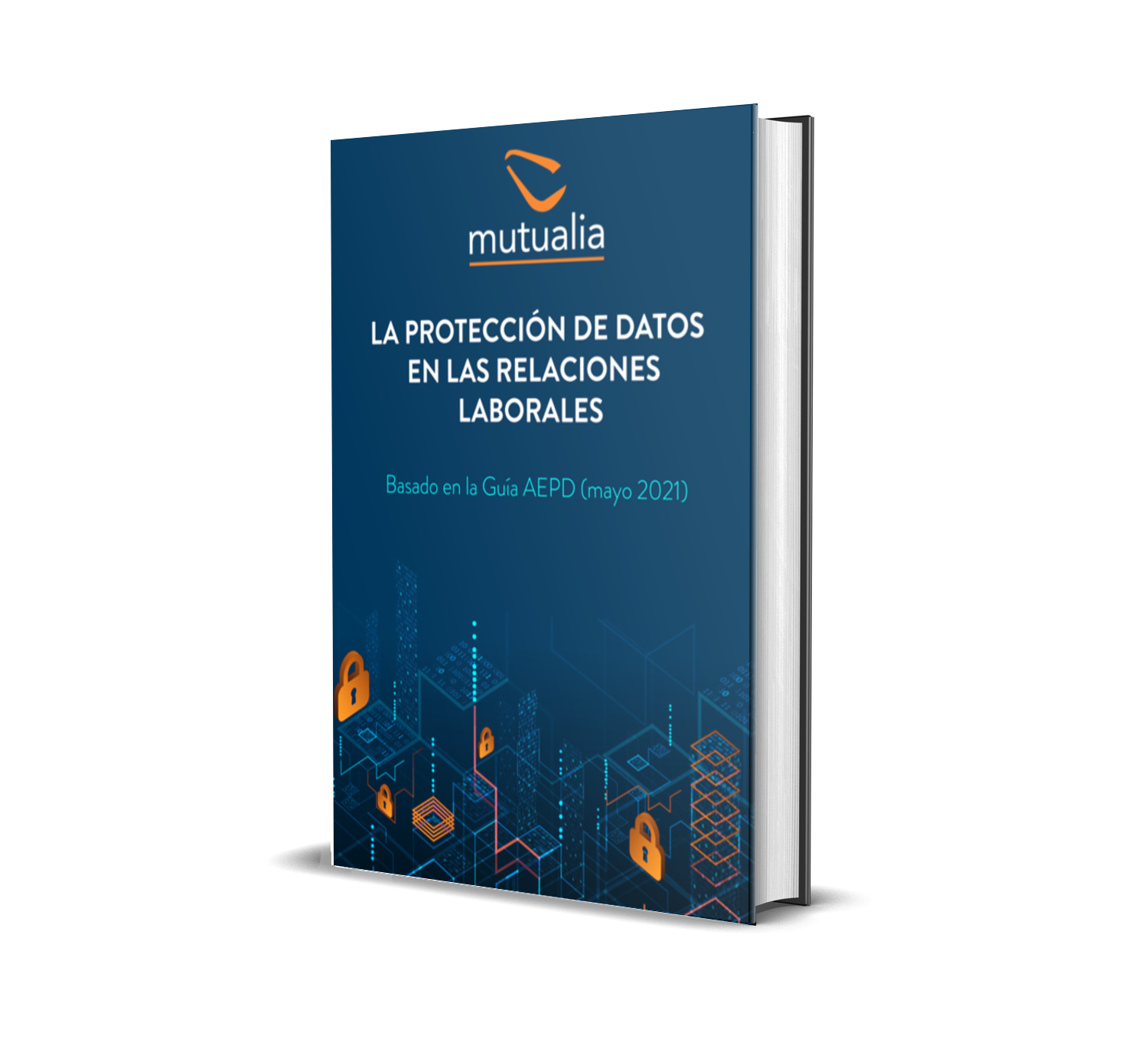 Manual resumen: la protección de datos en las relaciones laborales