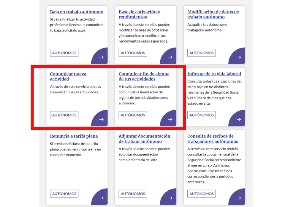 nuevos servicios importass