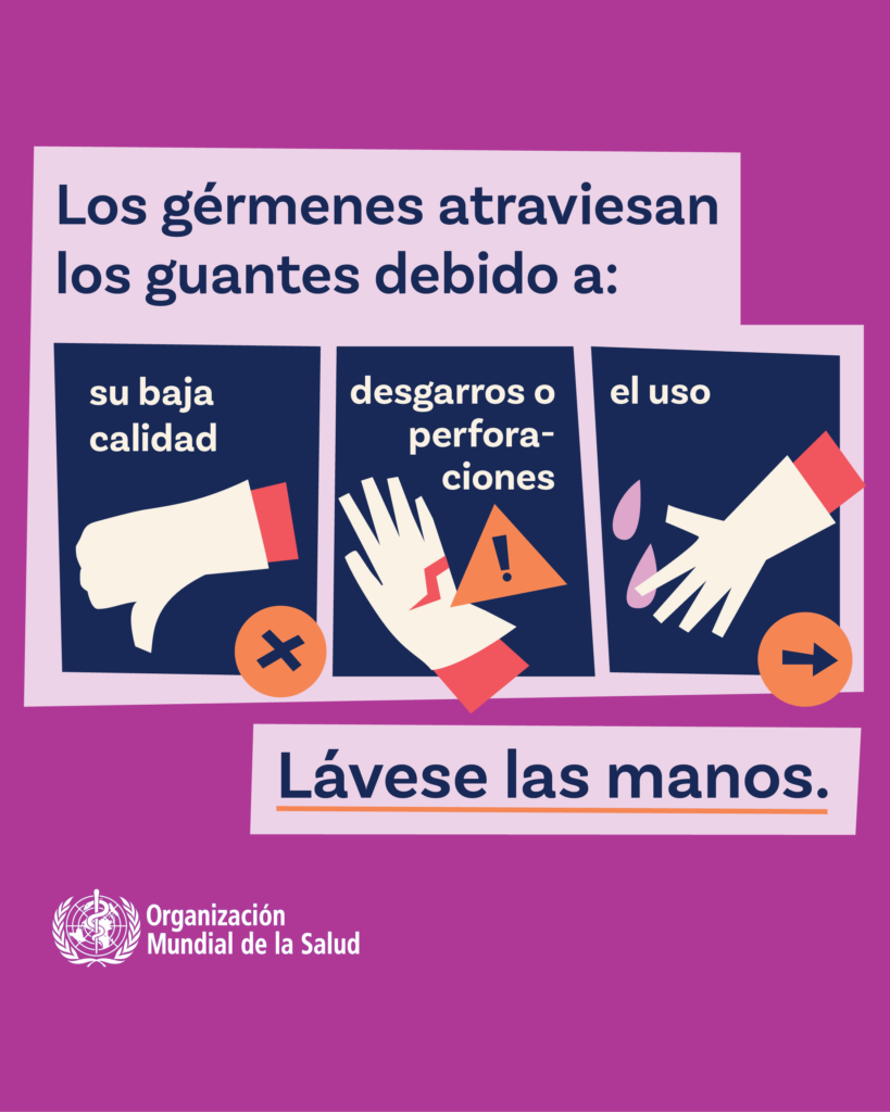 germenes 2
