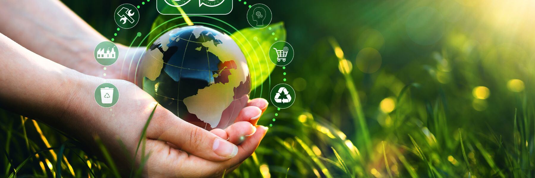 dia del reciclaje mutualia