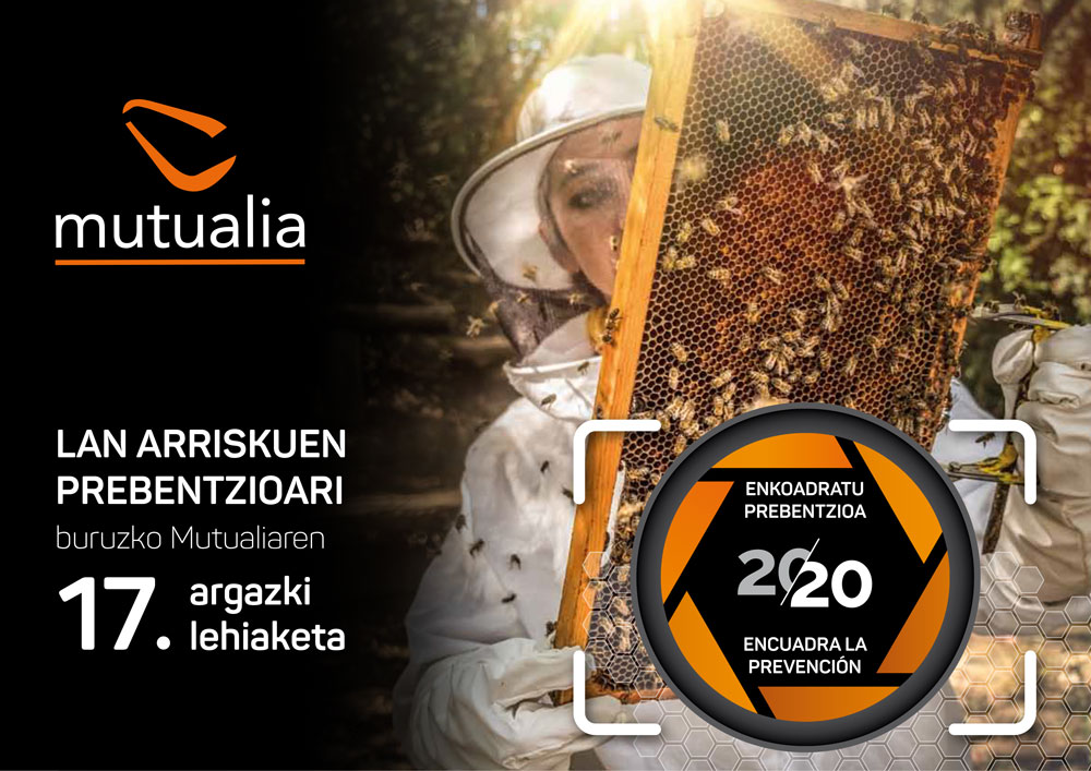 Lan Arriskuen prebentzioari buruzko mutualiaren 17. argazki lehiaketa